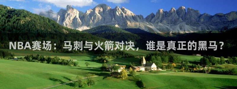 熊猫的：NBA赛场：马刺与火箭对决，谁是真正的黑马？