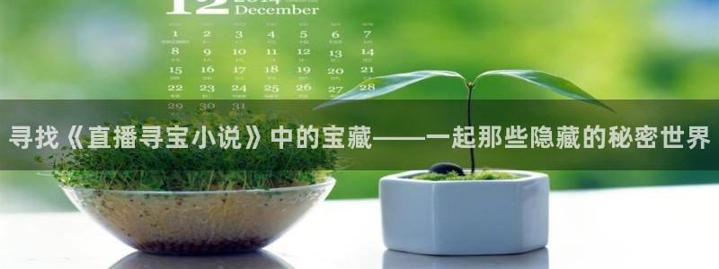 熊猫怎样直播：寻找《直播寻宝小说》中的宝藏——一起那些隐藏的秘密世界