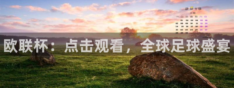熊猫体育下载免费看球赛直播：欧联杯：点击观看，全球足球盛宴