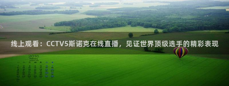 熊猫主题：线上观看：CCTV5斯诺克在线直播，见证世界顶级选手的精彩表现