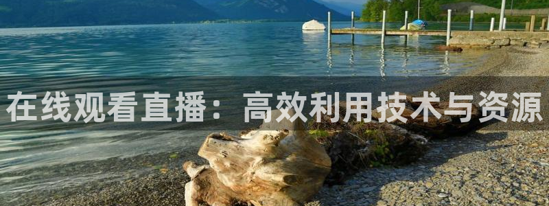 熊猫体育平台：在线观看直播：高效利用技术与资源