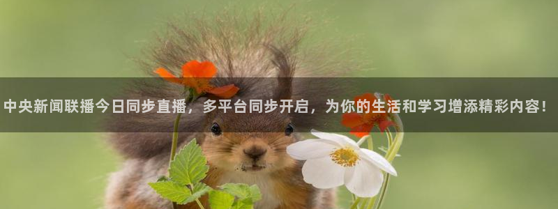 熊猫体育直播欢度2026进.来就送.org：中央新闻联播今日同步直播，多平台同步开启，为你的生活和学习增添精彩内容！
