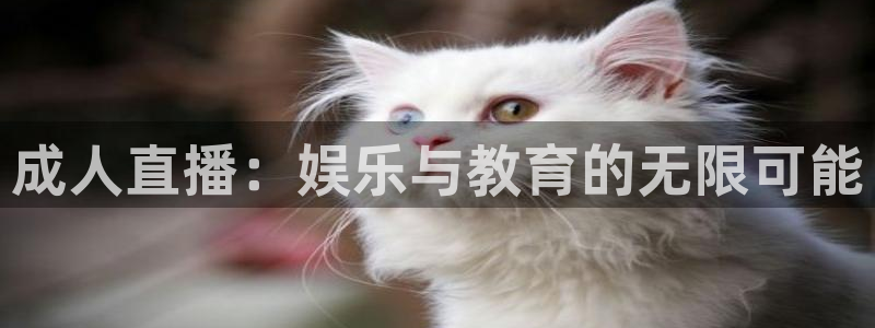 关于熊猫的：成人直播：娱乐与教育的无限可能