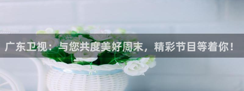 熊猫nba直播视频：广东卫视：与您共度美好周末，精彩节目等着你！