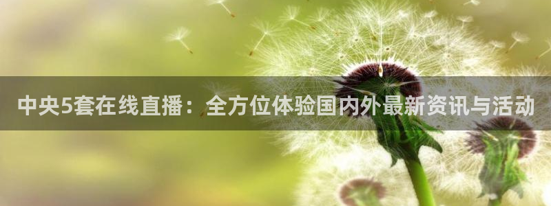 熊猫直播：中央5套在线直播：全方位体验国内外最新资讯与活动